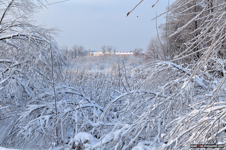 усадьба Красково