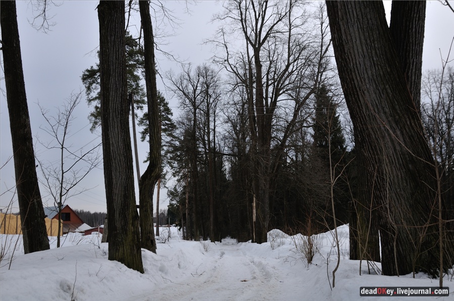 усадьба Ельдигино