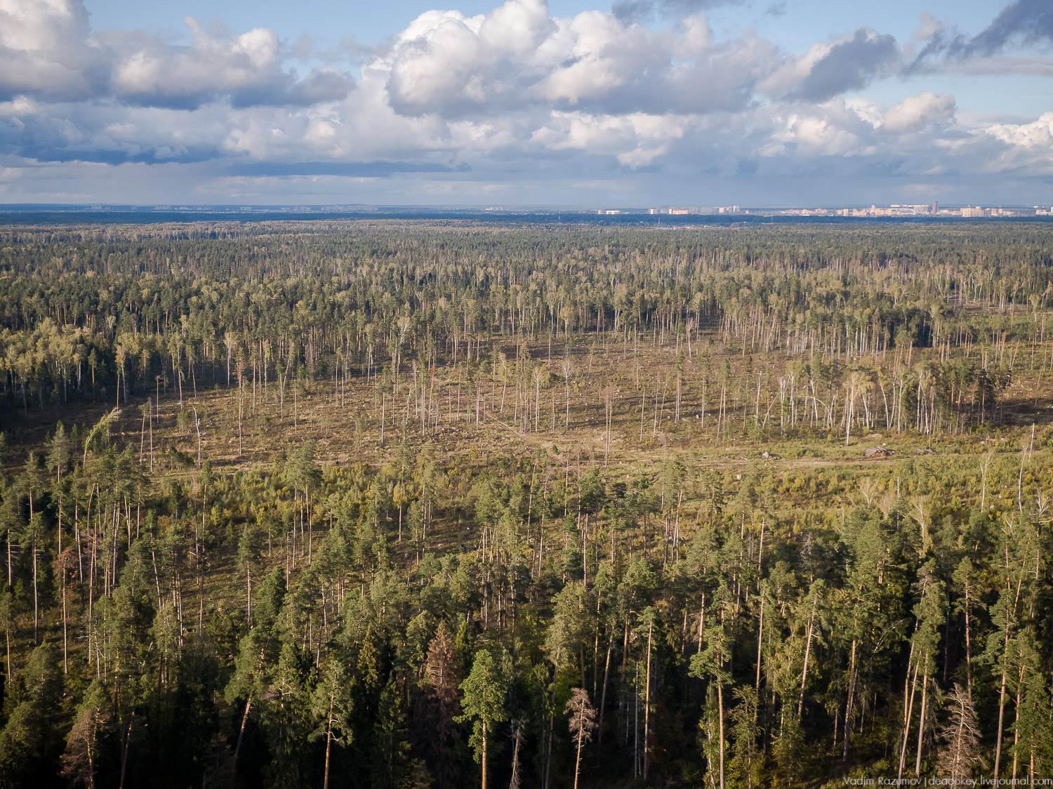 Алексеевская роща, путевой дворец Алексея Михайловича, Лосиный остров, музей охоты