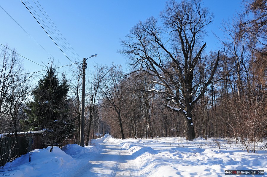 усадьба Архангельское-Тюриково