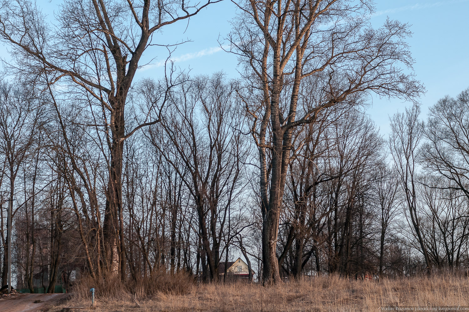 усадьба Подмоклово