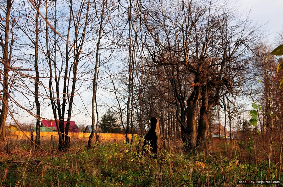 усадьба Бережки