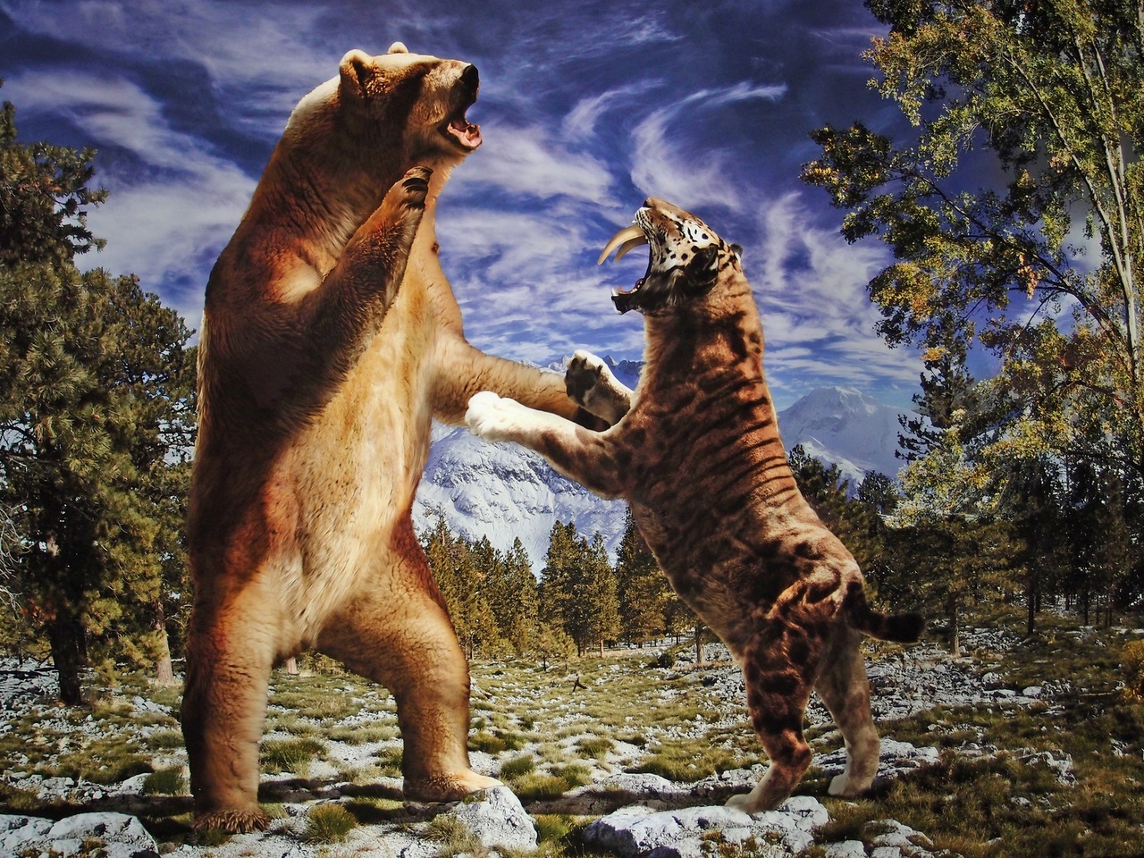 Главный хищник плейстоцена медведь, медведя, животных, короткомордый, животное, гризли, чтобы, тысяч, животного, короткомордого, время, назад, других, только, когда, добычу, хищники, медведи, убить, Однако