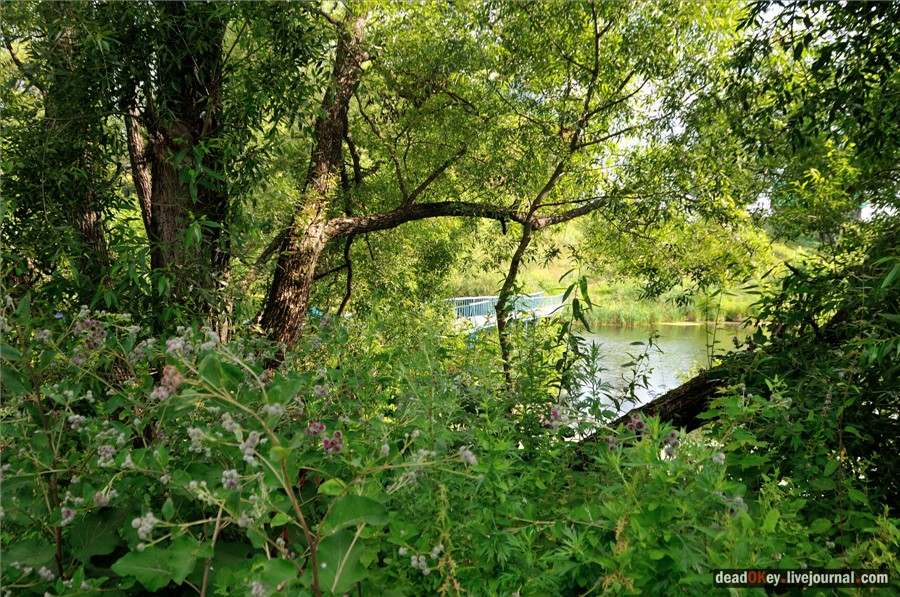 усадьба Троицкие Борки