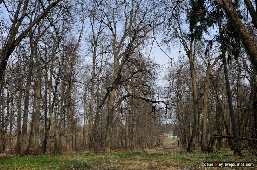 усадьба Грабцево