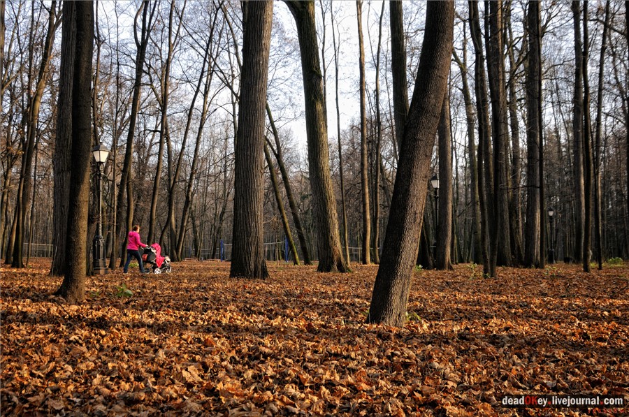 усадьба Царицыно