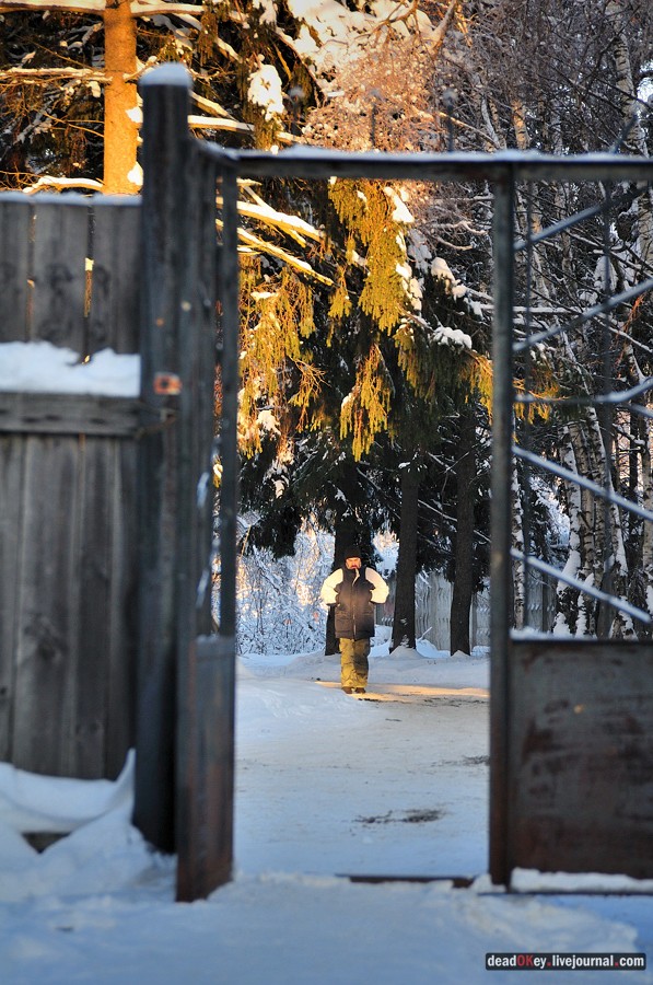 усадьба Полушкино
