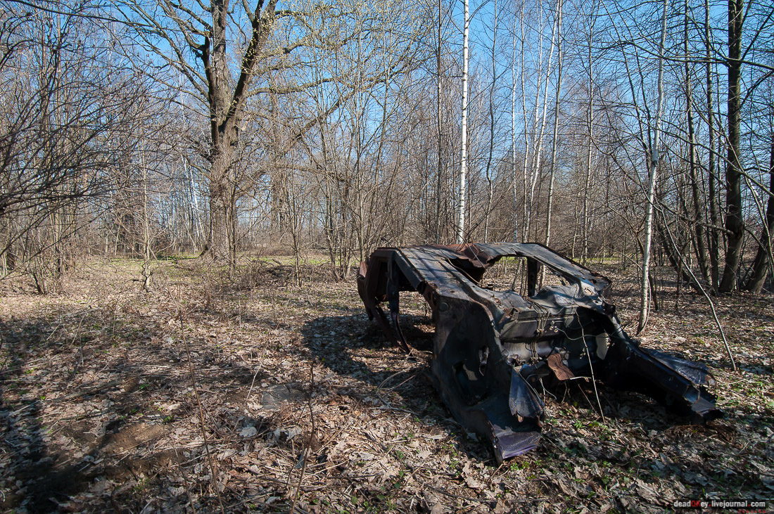 усадьба Савинское (исследование масонского парка)
