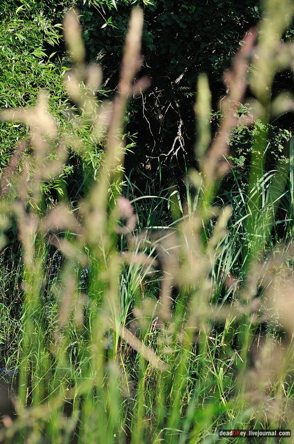 усадьба Клины