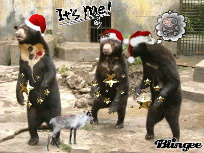 we werewbears make magfic in these bparts by using aour sinatas powers we gain from the sacret ice crystals to summon tyhe gold staRS OF REFLECTIPONM while our small reinaboo minions do carry out orr minon werk 