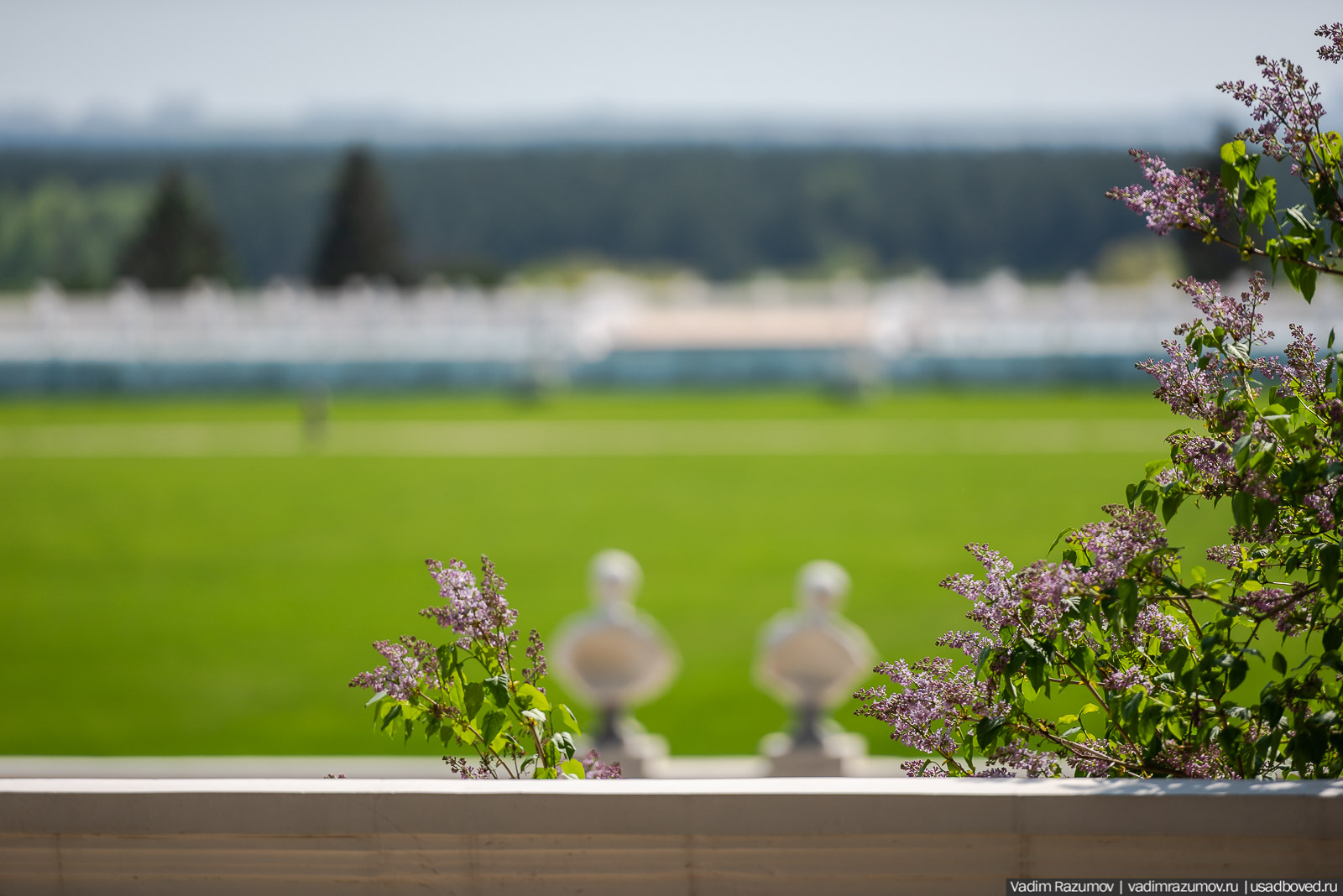 усадьба Архангельское, весна, май 2021