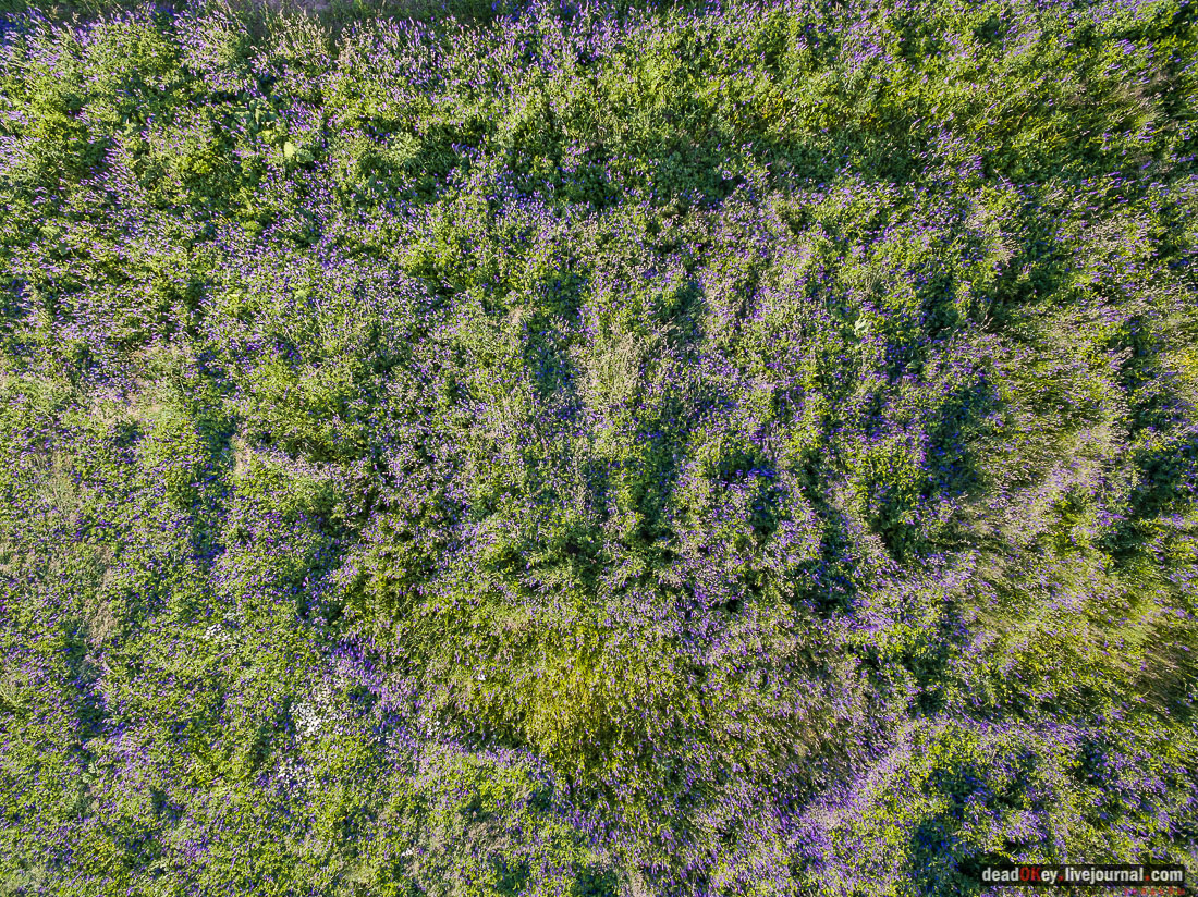 Летопись Русской усадьбы, усадьбы с квадрокоптера