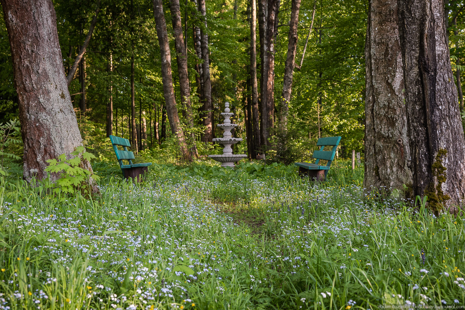 усадьба Воронино