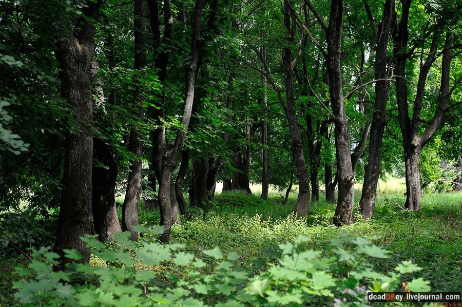 усадьба Городна