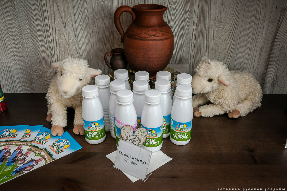 Экоэлектричка на родину журавлей в Талдомский район