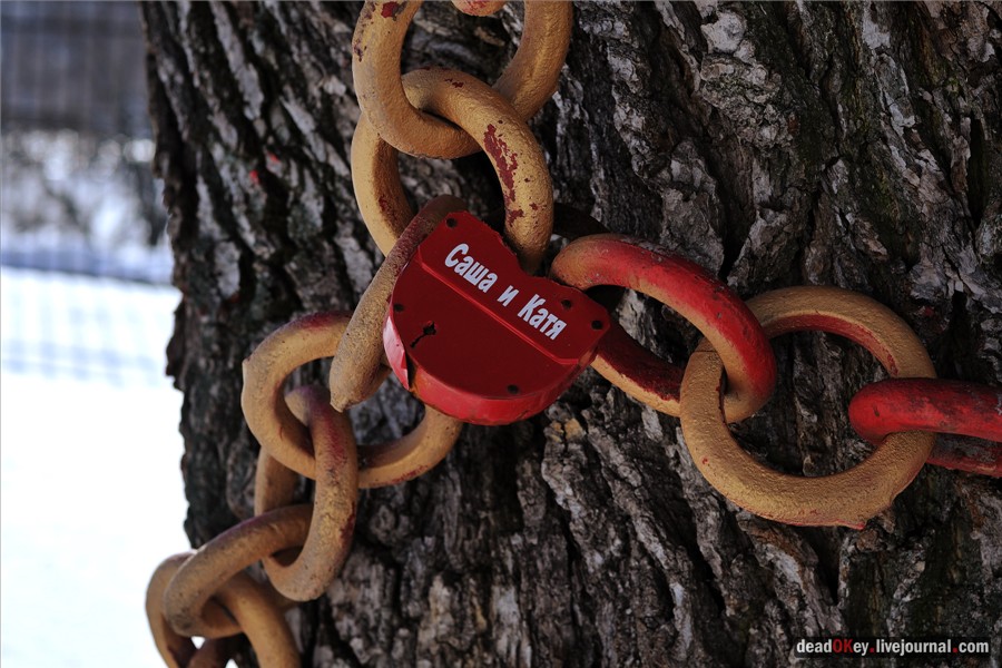 усадьба Кривякино