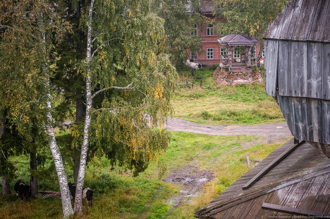 Деревянный север, Архангельская область, Онега
