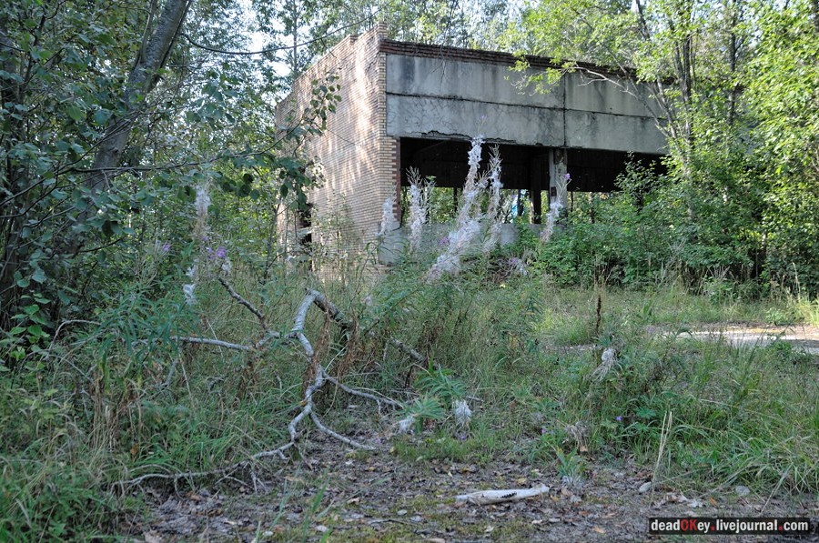 усадьба Хомяково