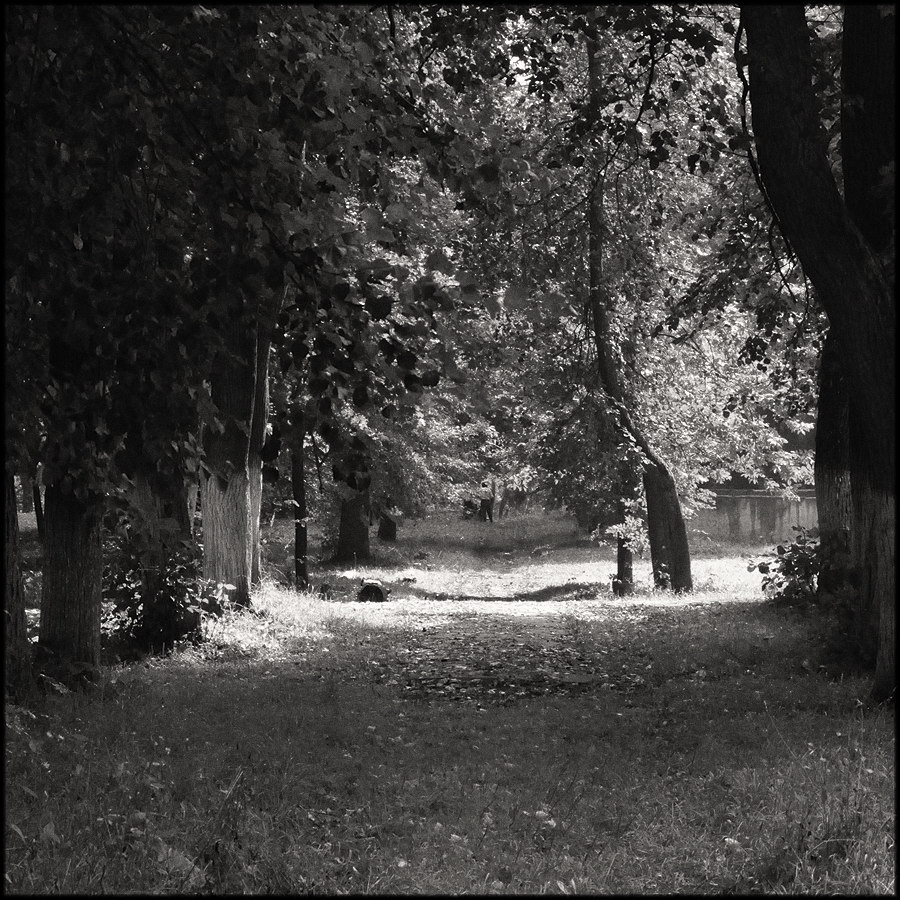 Парковые аллеи в русских усадьбах