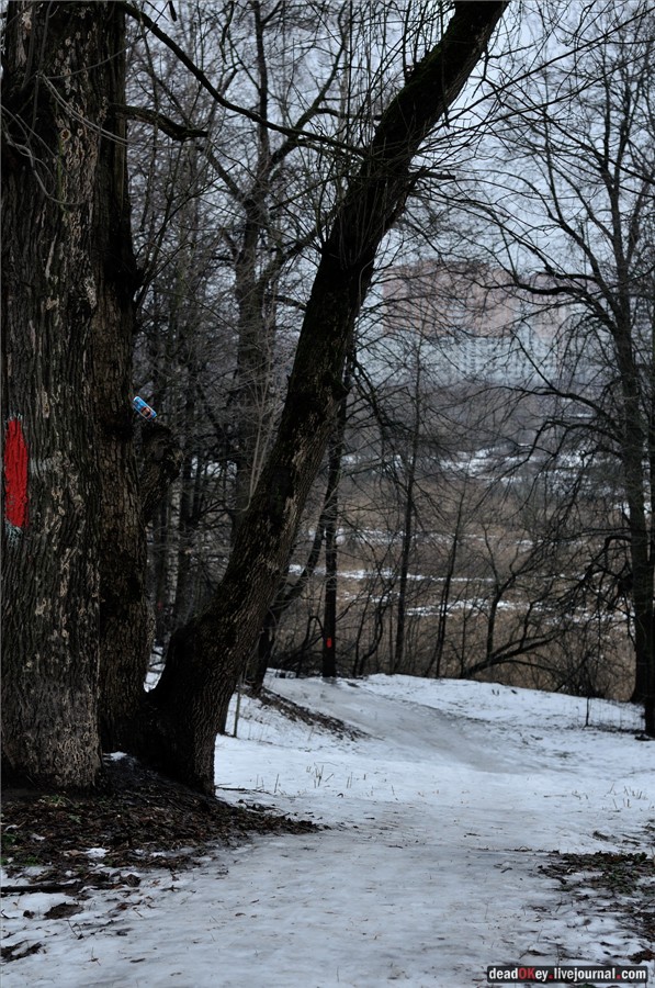 усадьба Пехра-Яковлевское