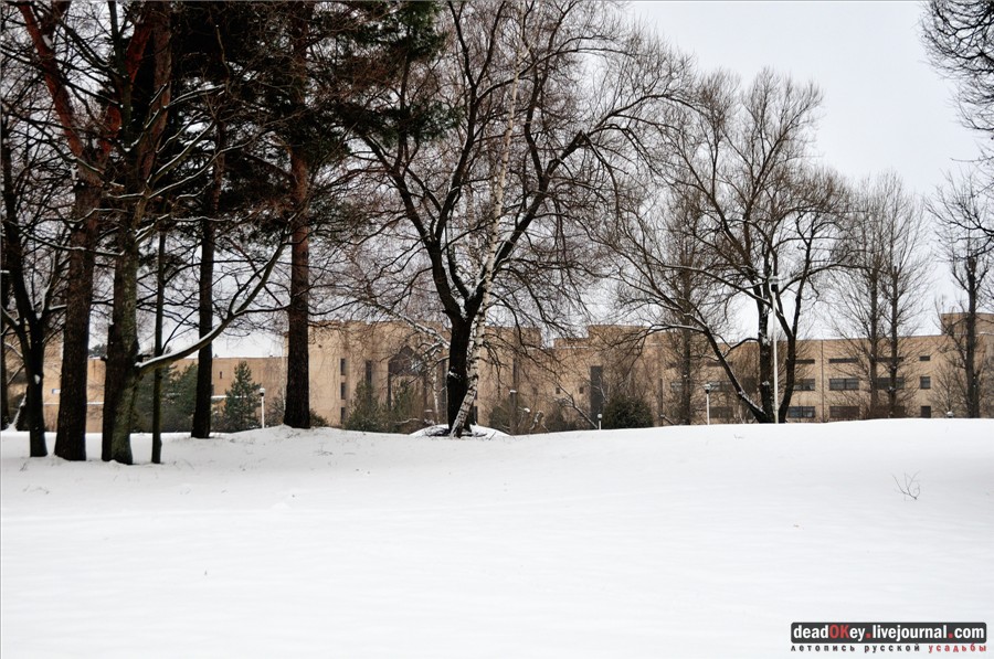 усадьба Введенское