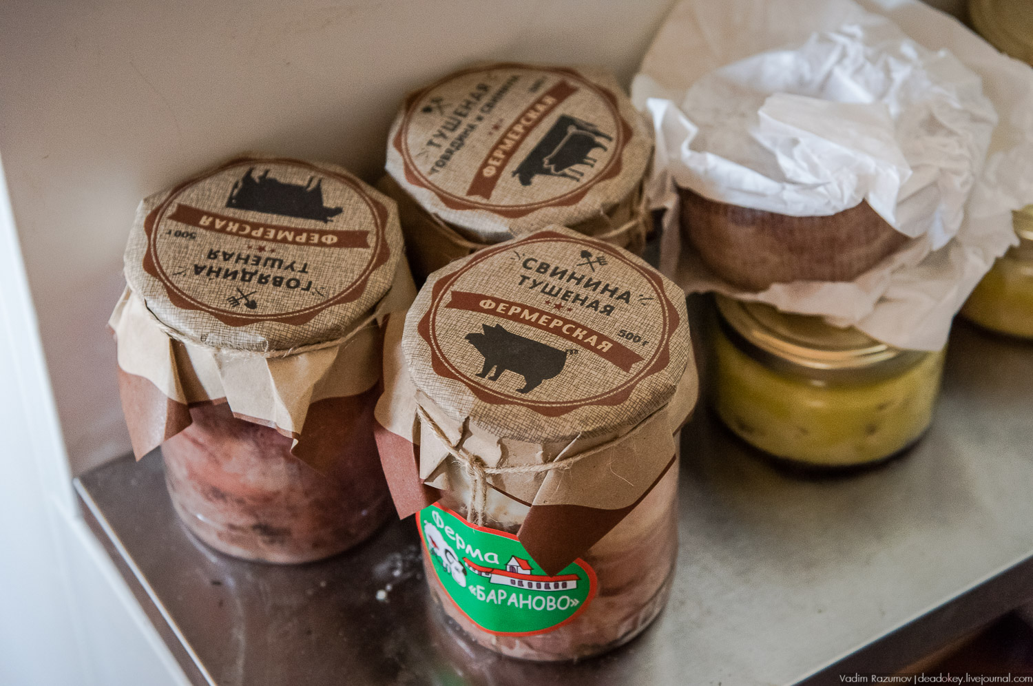 Рузская Аляска, Рузский район Московской области, Экоэлектричка