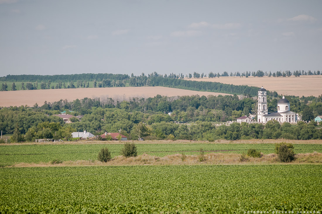 усадьба Скорняково-Архангельское, интервью с Алексеем Шкрапкиным
