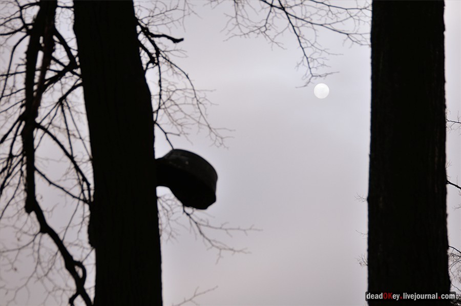 усадьба Успенское