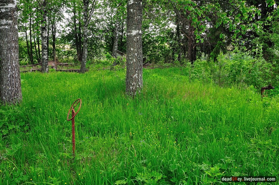 усадьба Спасское