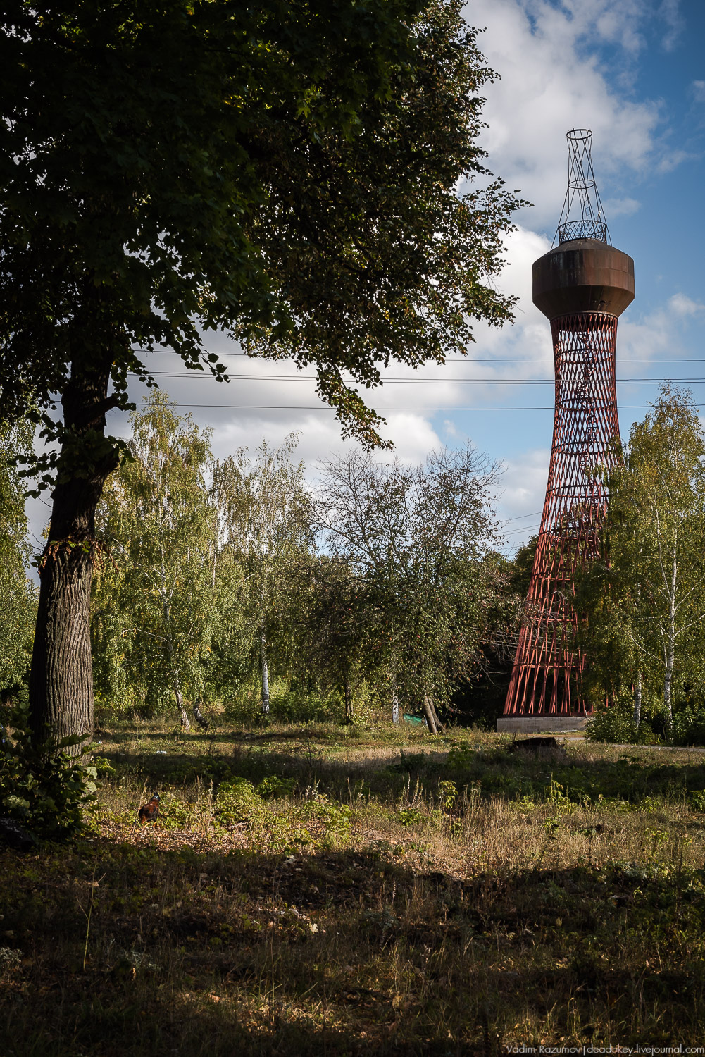 усадьба Полибино, Липецкая область, Усадебные волонтеры 21 сентября 2019 года