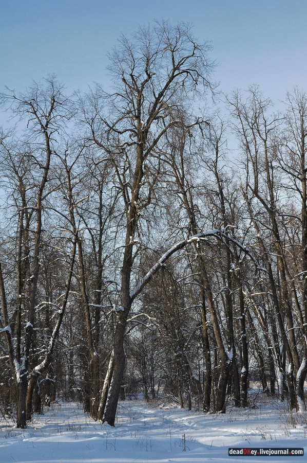 усадьба Полтево