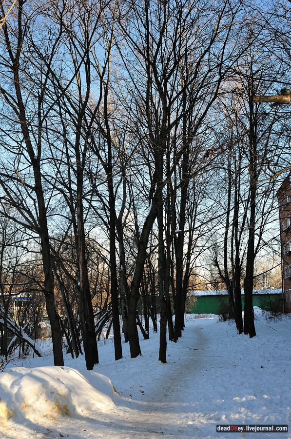 усадьба Петровское-Лобаново