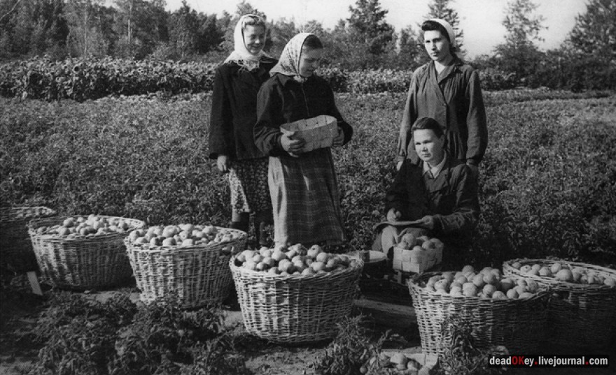 усадьба Пронино