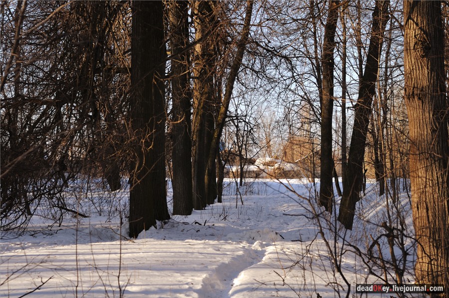 усадьба Федино