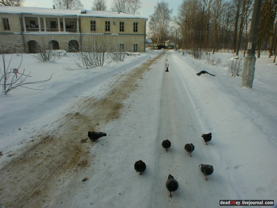 усадьба Горенки