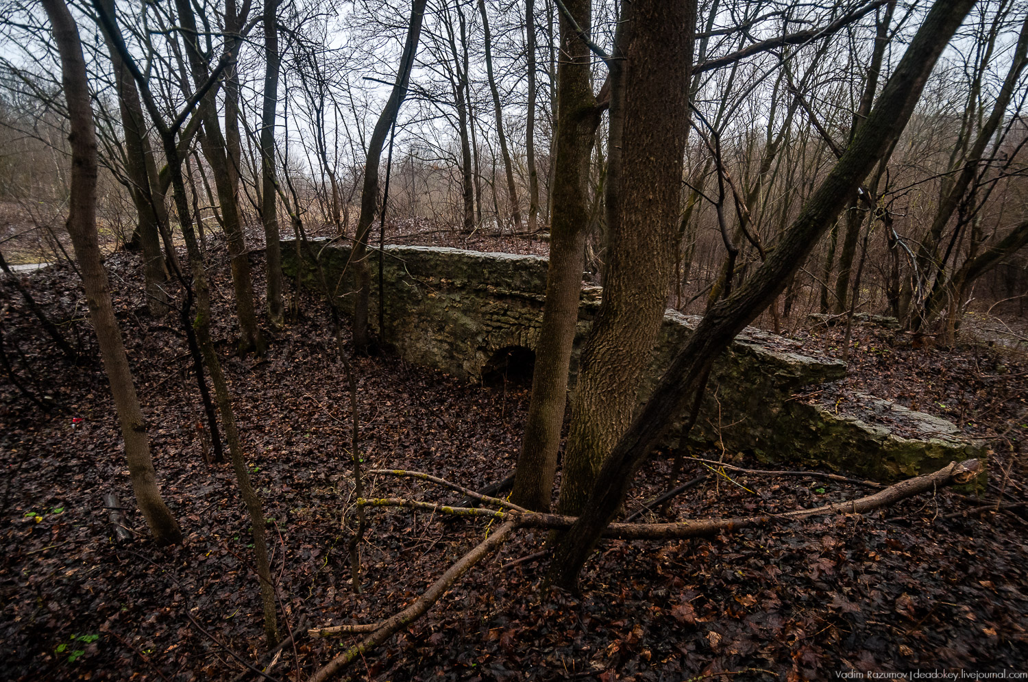 усадьба Пальна-Михайловка, аудиогид по усадбе, фото Вадим Разумов