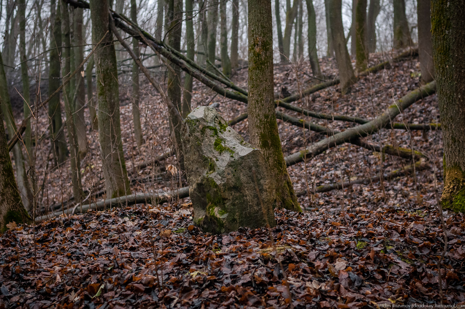 усадьба Пальна-Михайловка, аудиогид по усадбе, фото Вадим Разумов