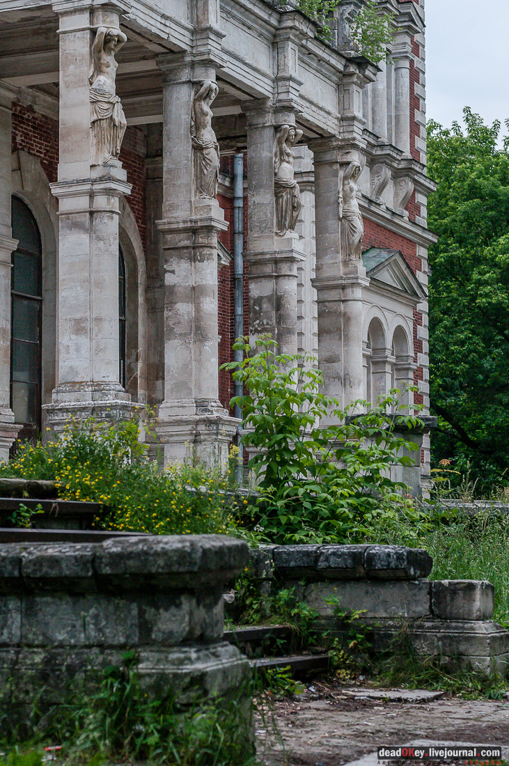 усадьба Быково, пресс-релиз встречи волонтеров