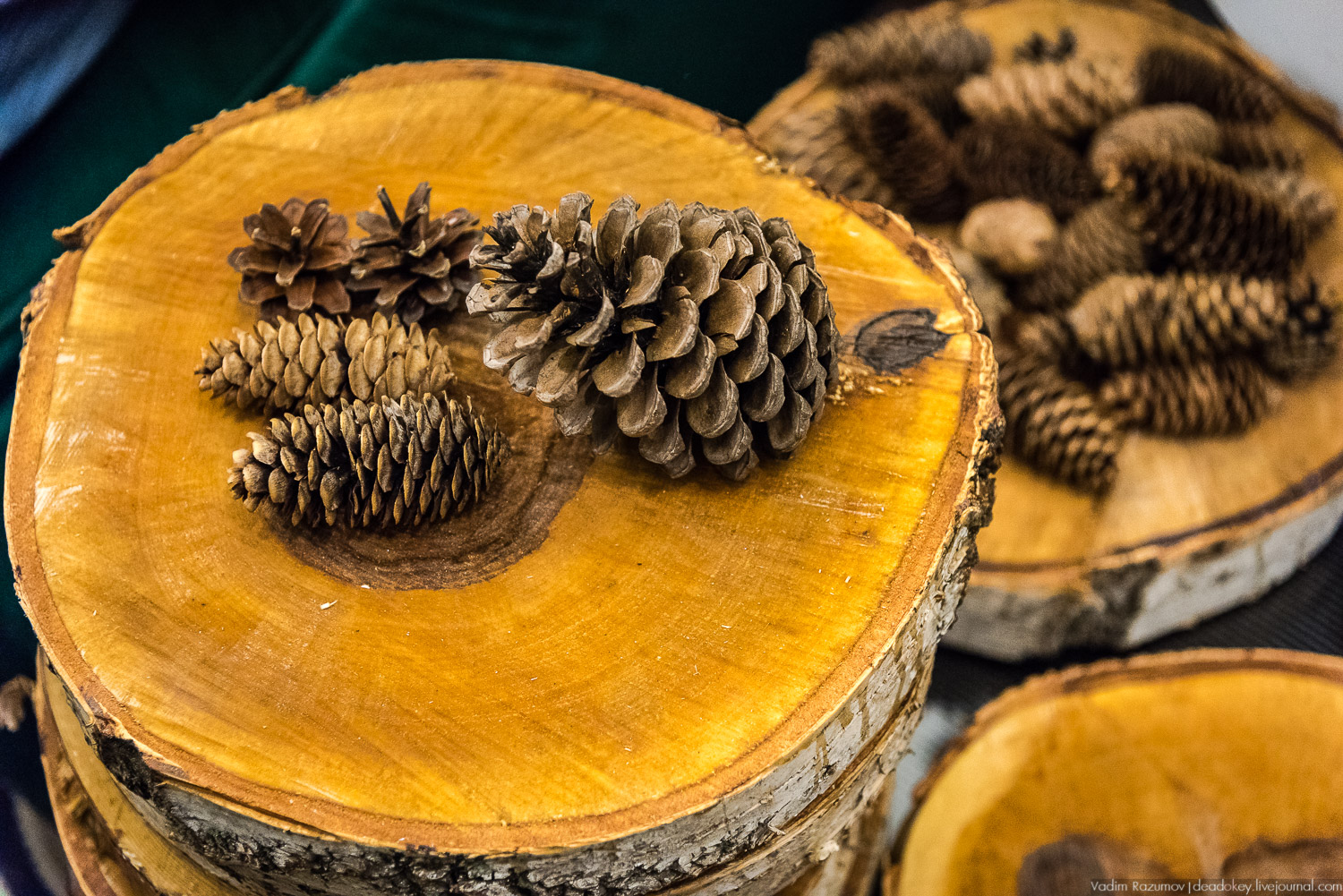 НеФорум 2018 Тюмень Livejournal