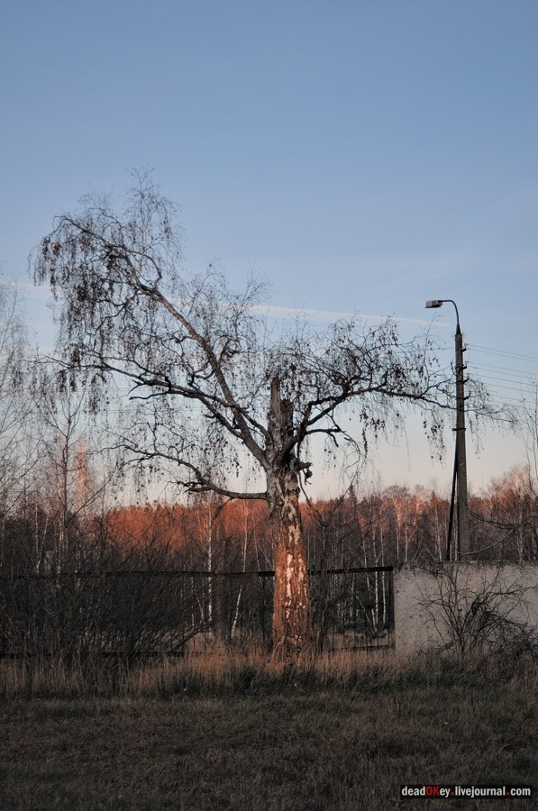 усадьба Ивановское