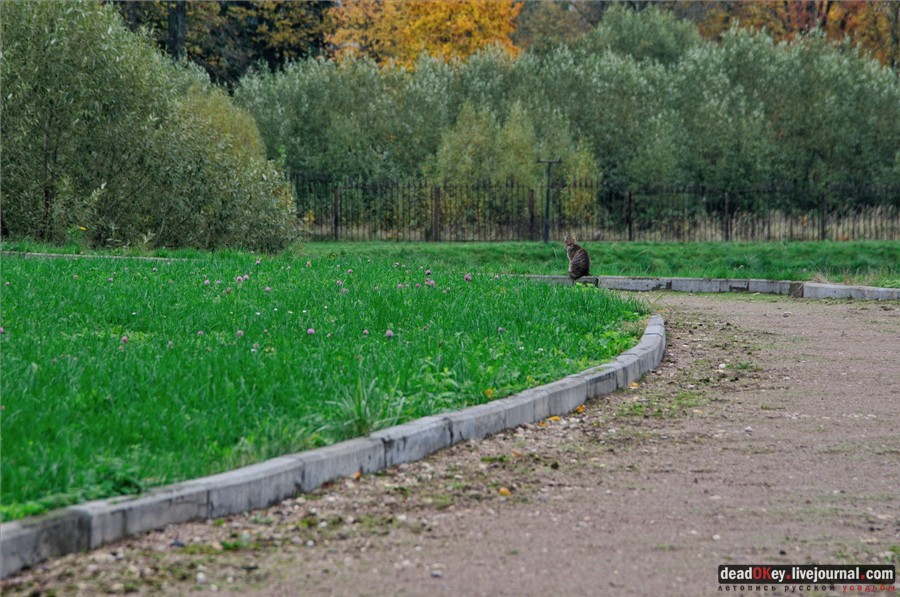 усадьба Марфино