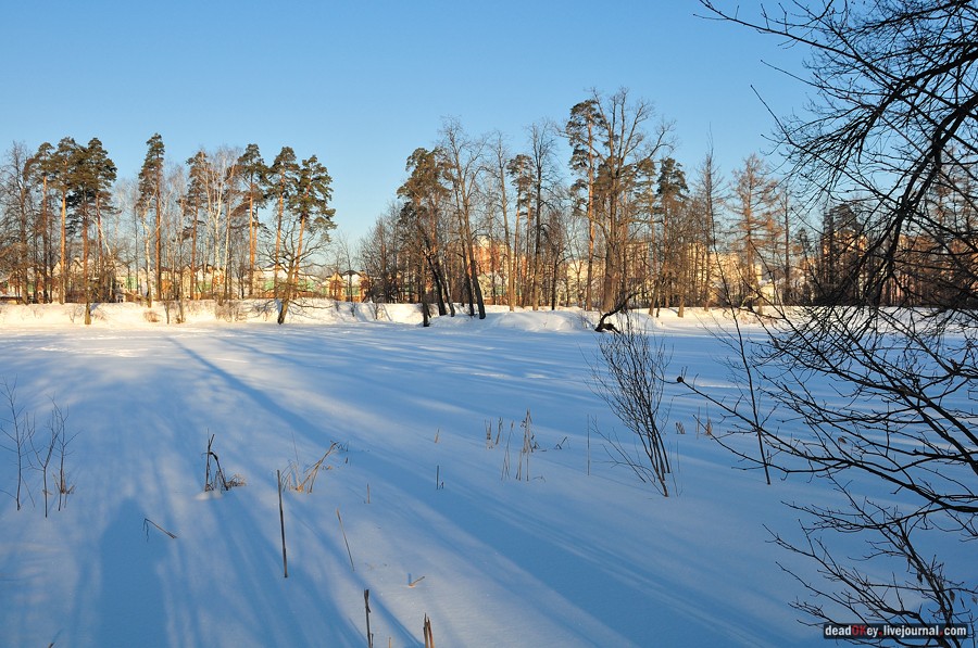 усадьба Архангельское-Тюриково