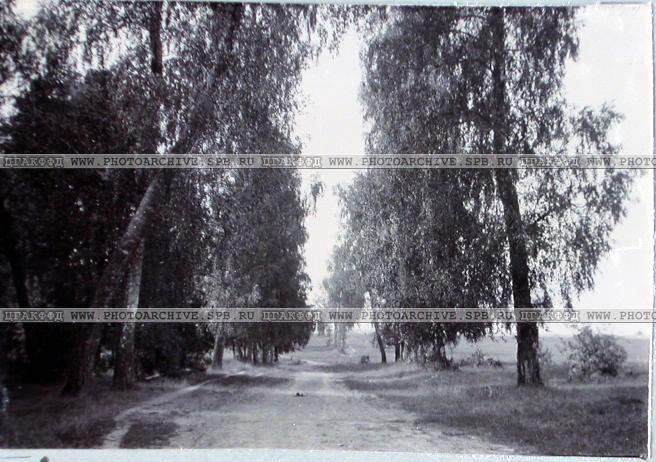 усадьба Городня