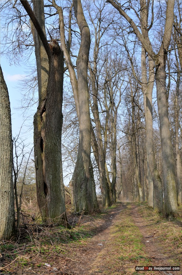 усадьба Городня