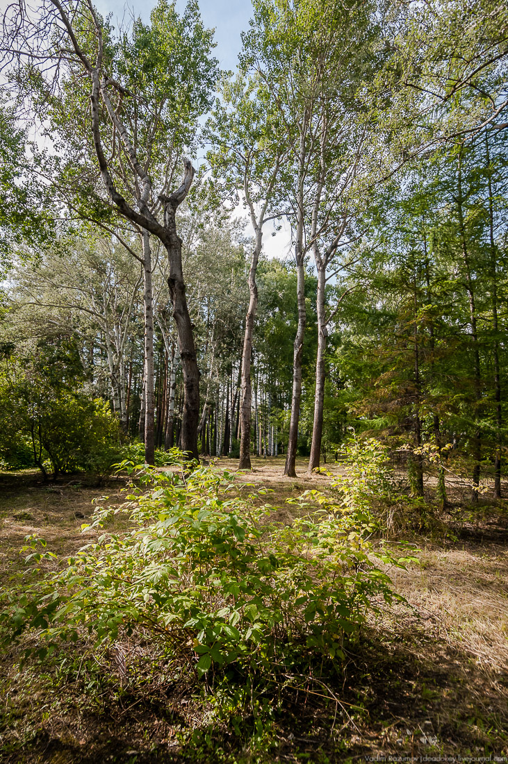 усадьба Барсуково