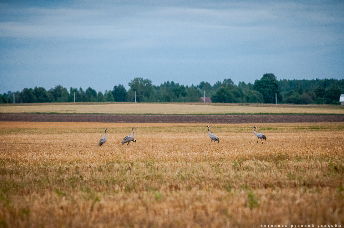 Программа путешествий Усадебного экспресса на сентябрь 2017 года