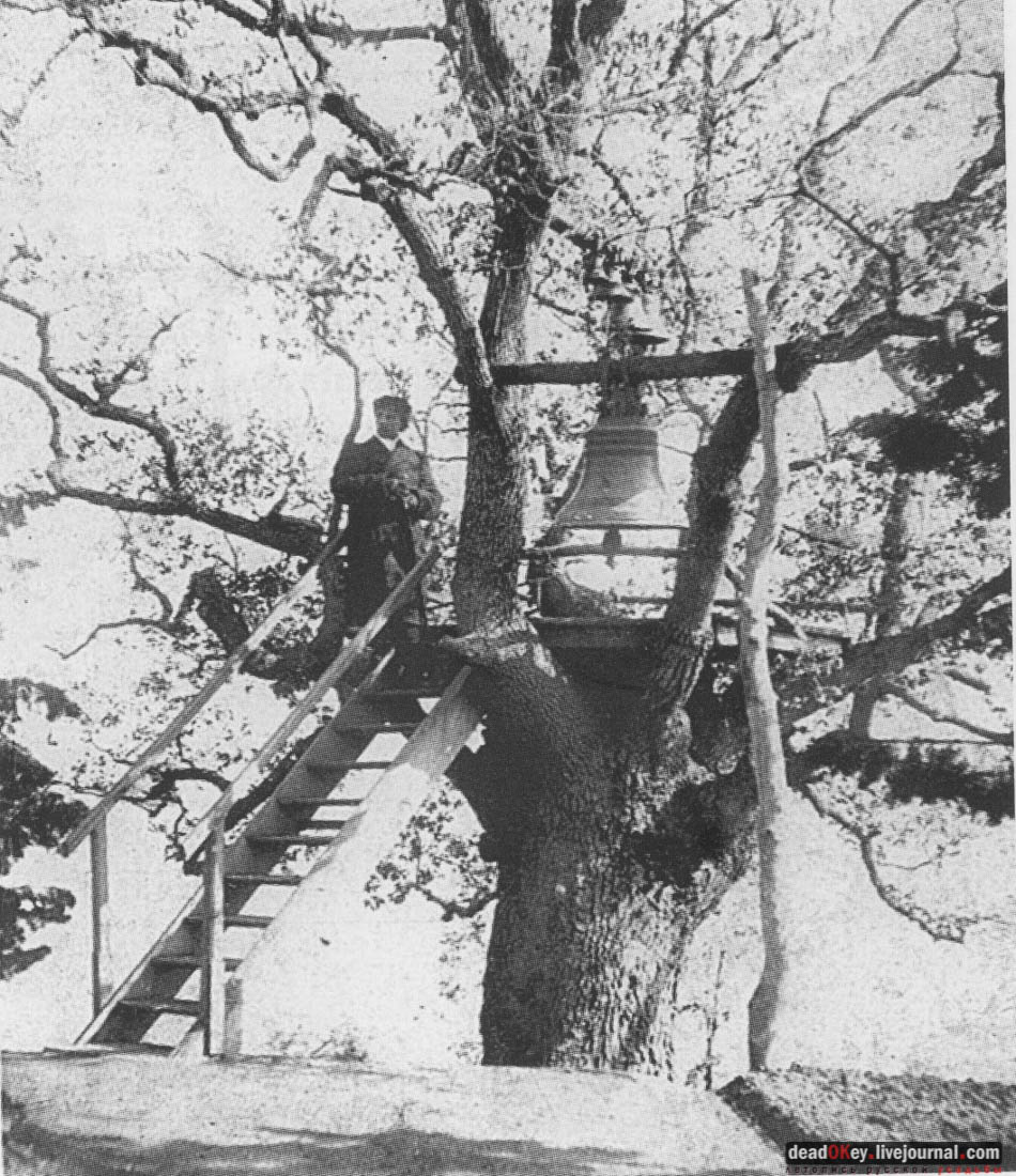 усадьба Ореанда (Нижняя Ореанда, Крым)