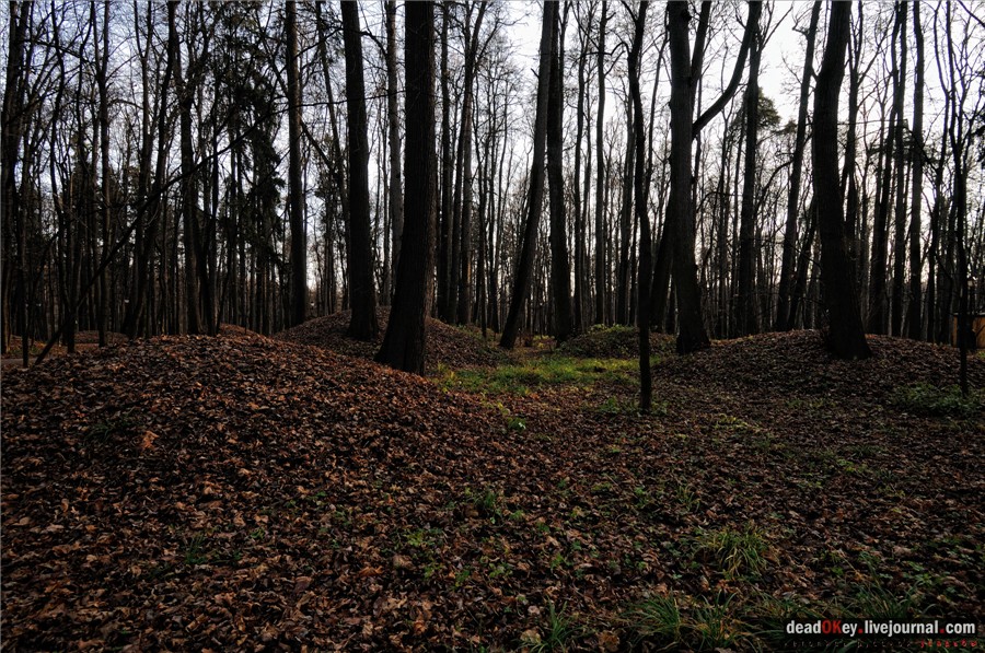 усадьба Царицыно