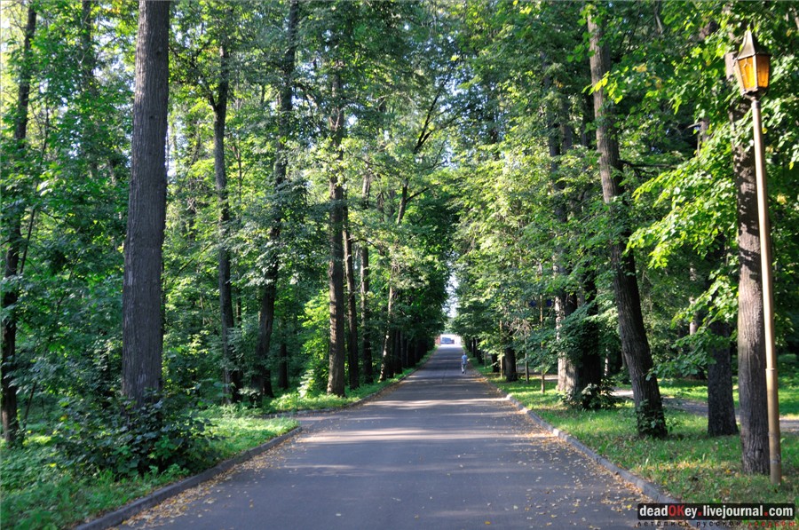 усадьба Райки