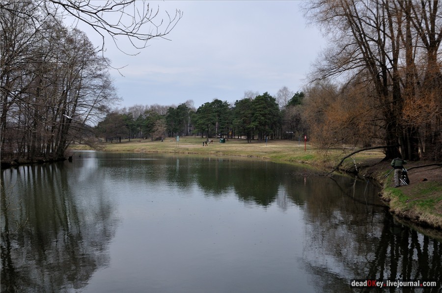 усадьба Кузьминки